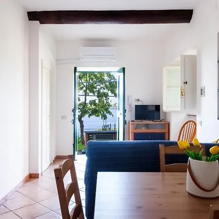 Apartment Cherry Tree House