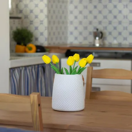 Cherry Tree House Apartment Recco