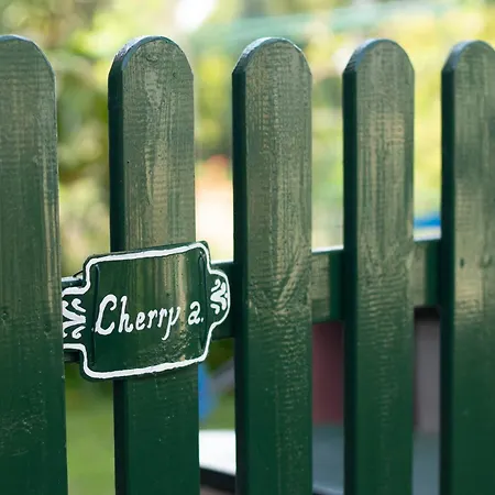 Apartment Cherry Tree House